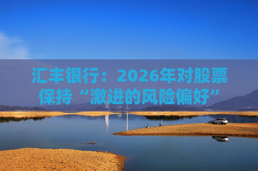 汇丰银行:2026年对股票保持“激进的风险偏好”