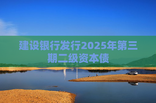建设银行发行2025年第三期二级资本债