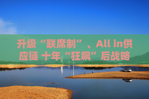 升级“联席制”、All in供应链 十年“狂飙”后战略换挡：拼多多的共治时代与未竟航路