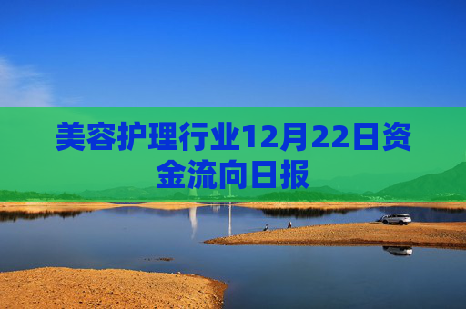 美容护理行业12月22日资金流向日报