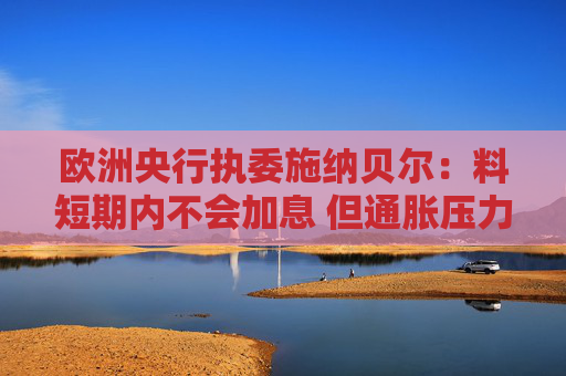 欧洲央行执委施纳贝尔：料短期内不会加息 但通胀压力或令利率再度上调