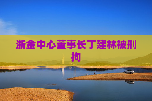 浙金中心董事长丁建林被刑拘