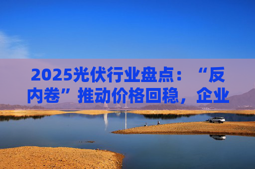 2025光伏行业盘点：“反内卷”推动价格回稳，企业自救提速