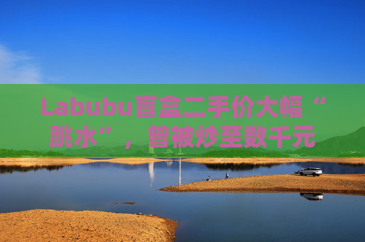 Labubu盲盒二手价大幅“跳水”，曾被炒至数千元