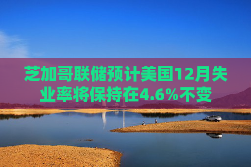 芝加哥联储预计美国12月失业率将保持在4.6%不变 第1张 芝加哥联储预计美国12月失业率将保持在4.6%不变 第1张