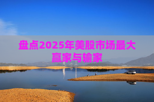 盘点2025年美股市场最大赢家与输家