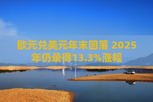 欧元兑美元年末回落 2025年仍录得13.3%涨幅
