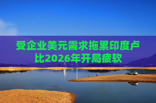 受企业美元需求拖累印度卢比2026年开局疲软
