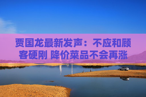 贾国龙最新发声：不应和顾客硬刚 降价菜品不会再涨价