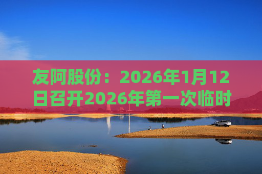友阿股份：2026年1月12日召开2026年第一次临时股东会  第1张