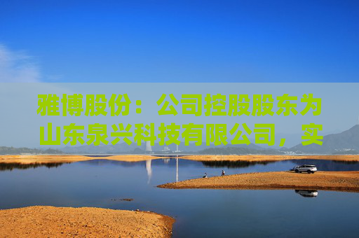 雅博股份：公司控股股东为山东泉兴科技有限公司，实际控制人枣庄市国资委  第1张