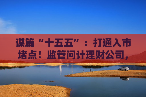 谋篇“十五五”：打通入市堵点！监管问计理财公司，聚焦A股投资障碍与政策期待  第1张