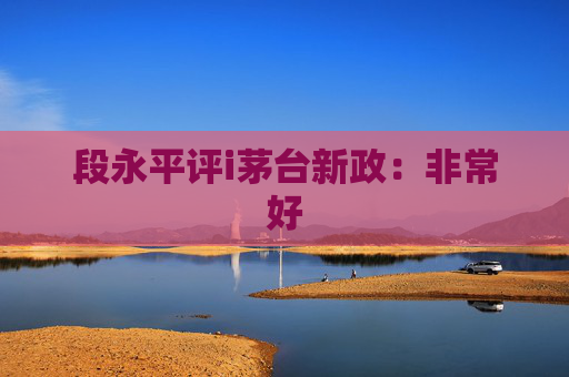 段永平评i茅台新政：非常好