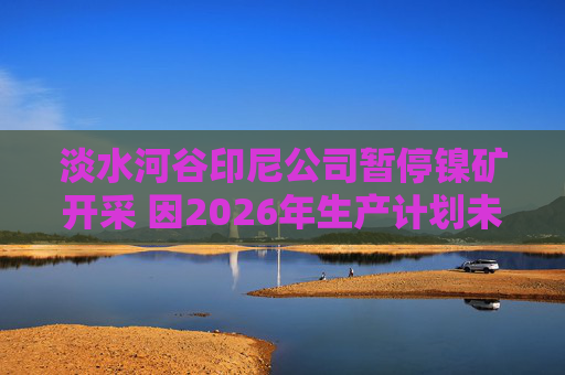 淡水河谷印尼公司暂停镍矿开采 因2026年生产计划未获政府批准