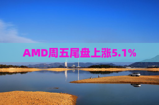AMD周五尾盘上涨5.1%