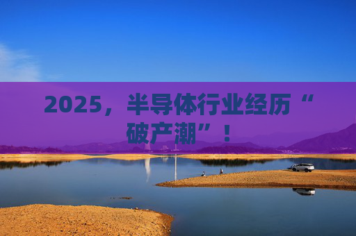 2025，半导体行业经历“破产潮”！