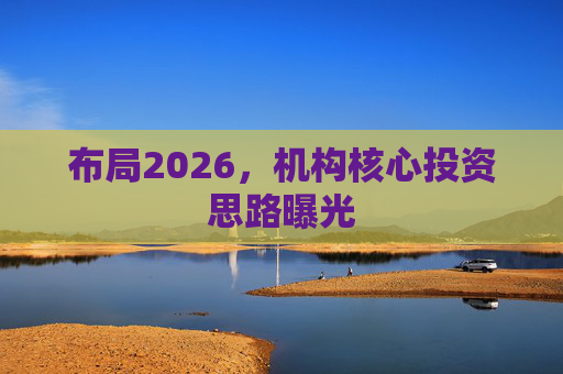 布局2026,机构核心投资思路曝光 第1张 布局2026,机构核心投资思路曝光 第1张