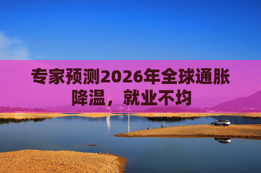专家预测2026年全球通胀降温，就业不均  第1张
