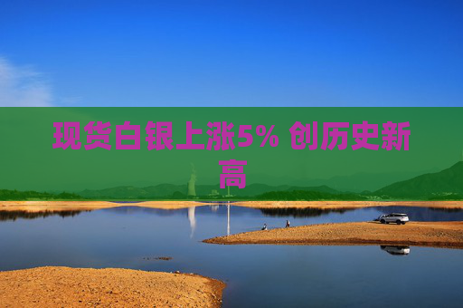 现货白银上涨5% 创历史新高