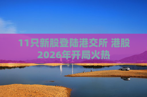 11只新股登陆港交所 港股2026年开局火热 第1张 11只新股登陆港交所 港股2026年开局火热 第1张