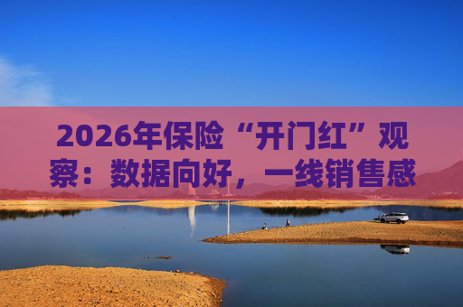 2026年保险“开门红”观察：数据向好，一线销售感受分化