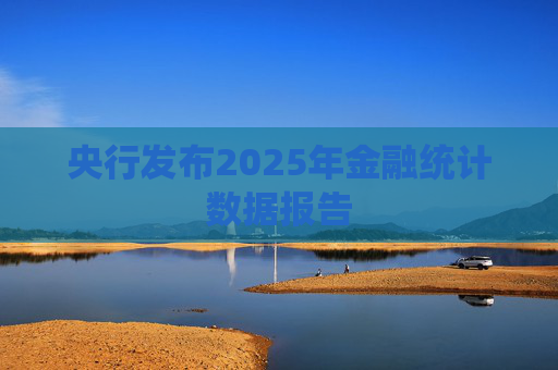 央行发布2025年金融统计数据报告