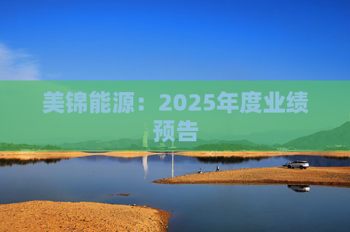 美锦能源：2025年度业绩预告