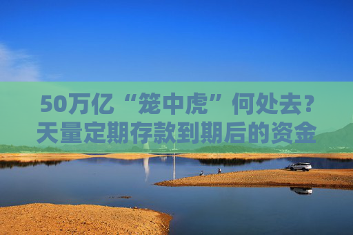 50万亿“笼中虎”何处去？天量定期存款到期后的资金迁徙