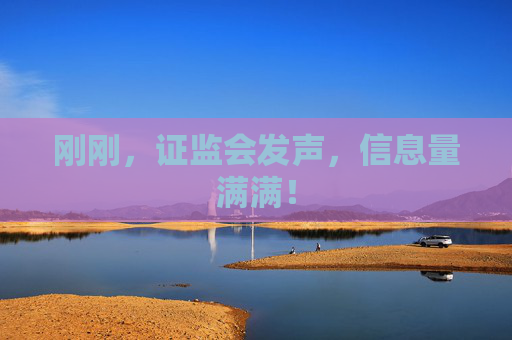 刚刚，证监会发声，信息量满满！