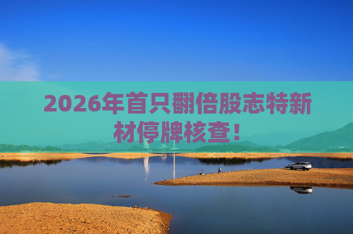 2026年首只翻倍股志特新材停牌核查！