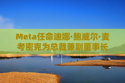 Meta任命迪娜·鲍威尔·麦考密克为总裁兼副董事长