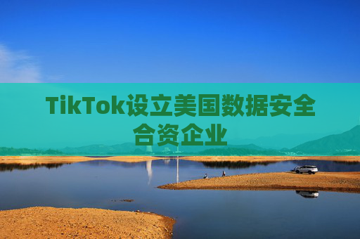 TikTok设立美国数据安全合资企业  第1张