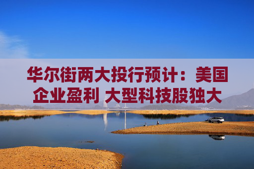 华尔街两大投行预计：美国企业盈利 大型科技股独大局面将终结