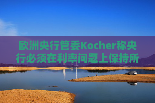 欧洲央行管委Kocher称央行必须在利率问题上保持所有选项开放