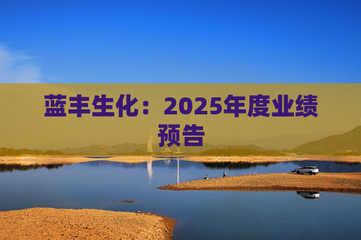 蓝丰生化：2025年度业绩预告