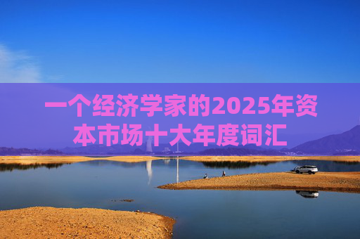 一个经济学家的2025年资本市场十大年度词汇
