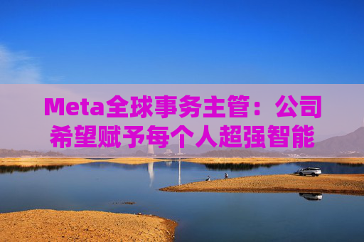 Meta全球事务主管：公司希望赋予每个人超强智能