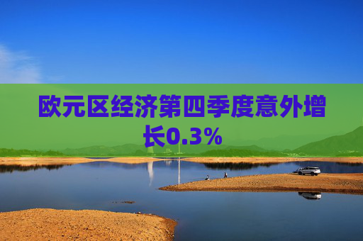 欧元区经济第四季度意外增长0.3%