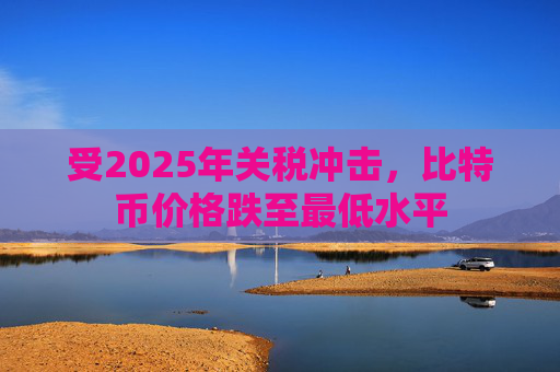 受2025年关税冲击，比特币价格跌至最低水平
