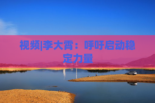 视频|李大霄：呼吁启动稳定力量