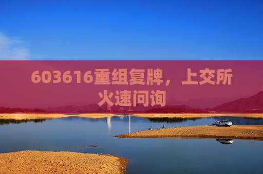 603616重组复牌，上交所火速问询