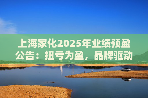 上海家化2025年业绩预盈公告：扭亏为盈，品牌驱动重回增长轨道  第1张