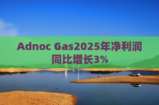 Adnoc Gas2025年净利润同比增长3%