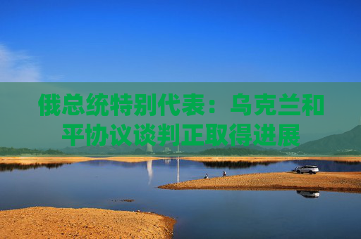 俄总统特别代表：乌克兰和平协议谈判正取得进展  第1张