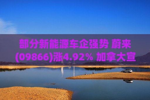 部分新能源车企强势 蔚来(09866)涨4.92% 加拿大宣布电动汽车新战略 将与中国合作