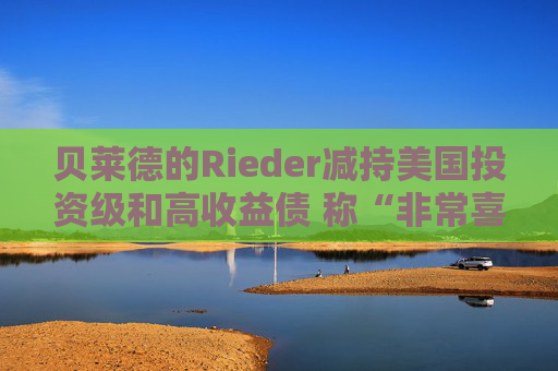 贝莱德的Rieder减持美国投资级和高收益债 称“非常喜欢”新兴市场