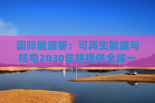 国际能源署：可再生能源与核电2030年将提供全球一半电力