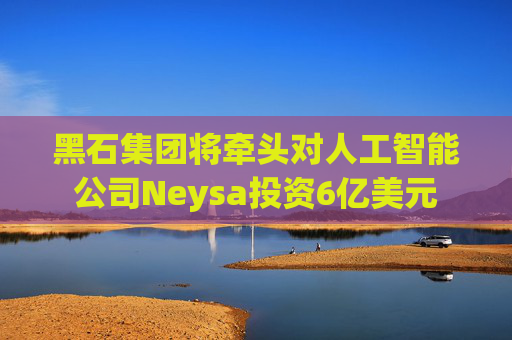黑石集团将牵头对人工智能公司Neysa投资6亿美元