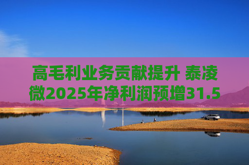 高毛利业务贡献提升 泰凌微2025年净利润预增31.53%