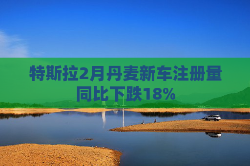 特斯拉2月丹麦新车注册量同比下跌18%